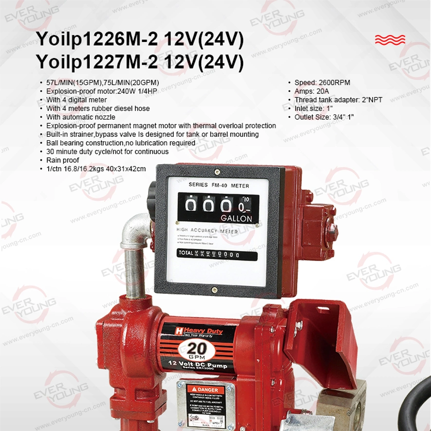 Gasoline Transfer Pump Set with 75L/Min (20GPM) Explosion-Proof Motor Fuel Pump with Meter Fuel Transfer